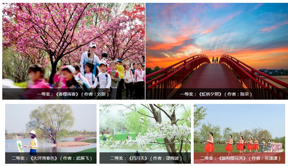 專業(yè)組一二等獎.jpg